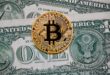 Bitcoin Cash: вопросы и ответы